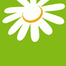 Anthemis Apotheke in der Draisstrasse