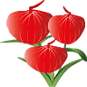 Pietersen Anthuriums Beheer B.V.