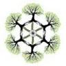 Glavini Antiage Detox
