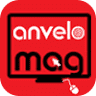 anveloMag.ro - VIANOR PITESTI