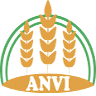 An Vi Import Export Corporation