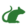 Any Pest Control Services Commercial & Domestic - Plymouth
