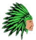 apache pest control