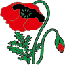 Florista A Papoila