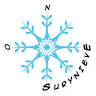 Apartamentos Surynieve