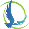 Apex Education & Consultants (Pvt) Ltd