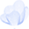 Amore Pacific Japan Co., Ltd