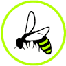 Apinorte