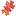 A Piece of Jordan