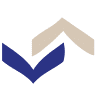 API Financial Solutions, Inc.