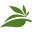 Apotheca Cannabis Dispensary