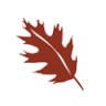 Appalachian Forest National Heritage Area