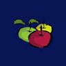 Apple Rehab Colchester