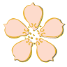 Apple Blossom Flowers