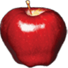 Apple Insurance Agency