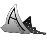 Aqaba Diving - Aqaba Adventure Divers
