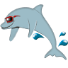 Aqua Club Dolphin