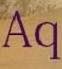 Aquadorna
