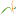 aquarela fisioterapia