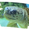 Aquarium am Hafen