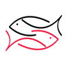 AQUATICA