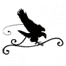 Aquila Nera Ristorante