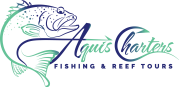 Aquis Reef Charters