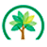 Árboles y Palmeras del Sureste