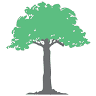 Arboretum Dental