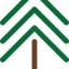 Arborjack Tree Care