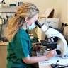 L'Arche de Mittel, Clinique Vétérinaire