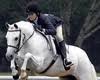Archway Equestrian sports, LLC