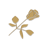 Arcoflor Floristas