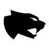 Arctic Cat Inc