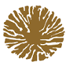 Areca Books