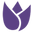 Arena Flowers