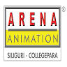 ARENA ANIMATION