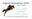 Argento Equestrian Tack Shop