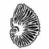 Argonauta