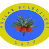 Aricak Belediyesi