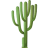 Arizona