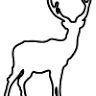Armurerie Safari