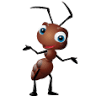 Army Ants Removals & Storage