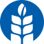 Arney & Associates, Inc.