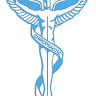 Arnold Chiropractic- Jamie Arnold, DC