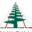 Arnold Lumber's Backyard