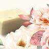 Aromas da Villa - Saboaria Artesanal Premium