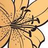 The Gilded Lily