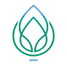 Arrowroot Counseling