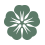 Floral Floriculture